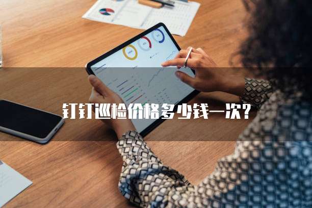 钉钉巡检价格多少钱一次?