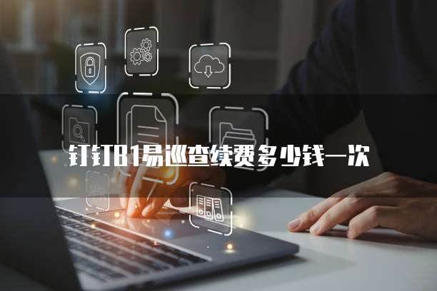 钉钉B1易巡查续费多少钱一次