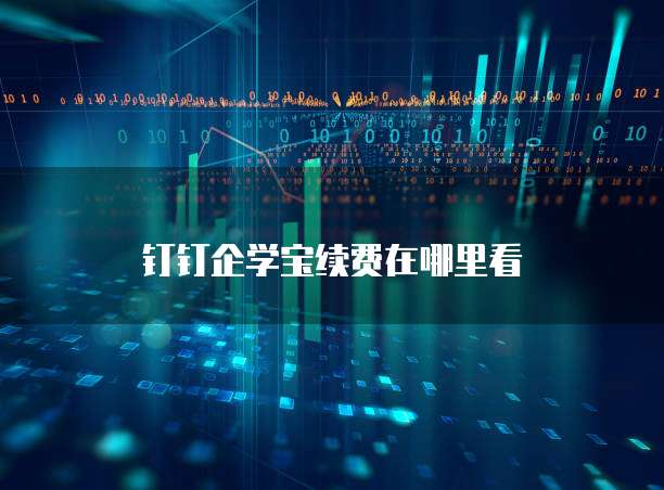 钉钉企学宝续费在哪里看