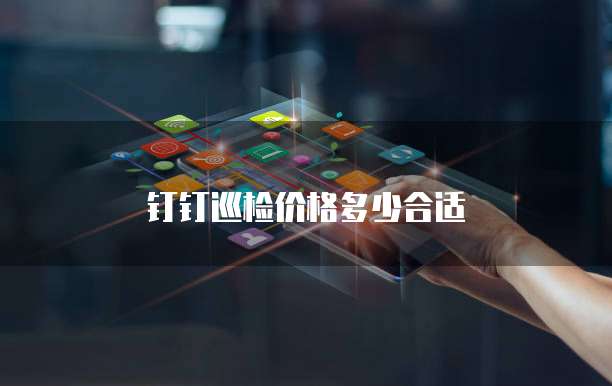 钉钉巡检价格多少合适