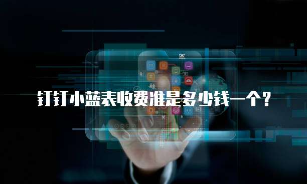 钉钉小蓝表收费准是多少钱一个?