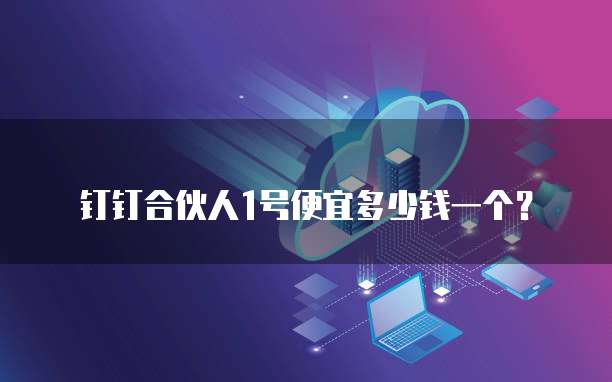 钉钉合伙人1号便宜多少钱一个?