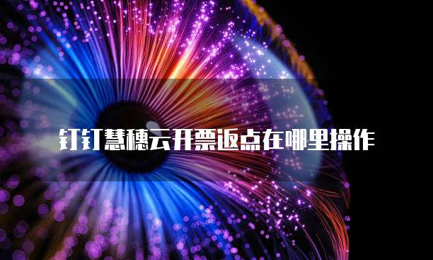 钉钉慧穗云开票返点在哪里操作