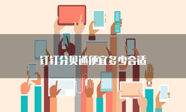 钉钉分贝通便宜多少合适