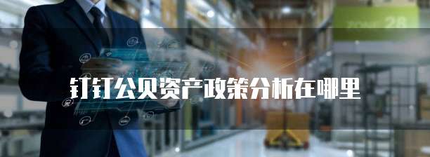 钉钉公贝资产政策分析在哪里