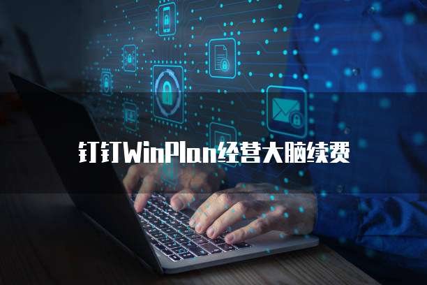 钉钉WinPlan经营大脑续费