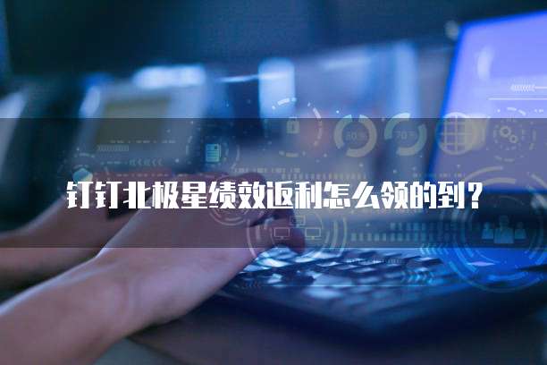 钉钉北极星绩效返利怎么领的到?