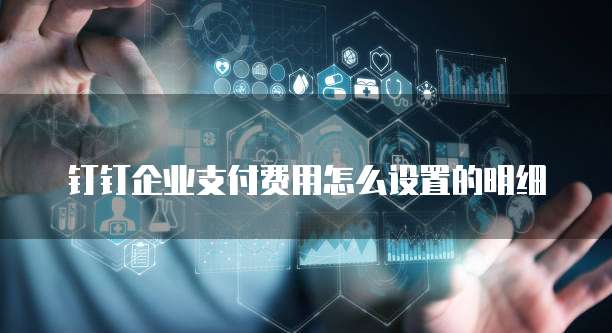 钉钉企业支付费用怎么设置的明细