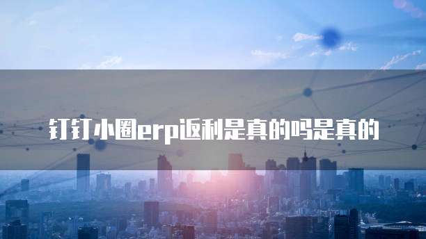 钉钉小圈erp返利是真的吗是真的