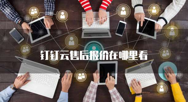 钉钉云售后报价在哪里看
