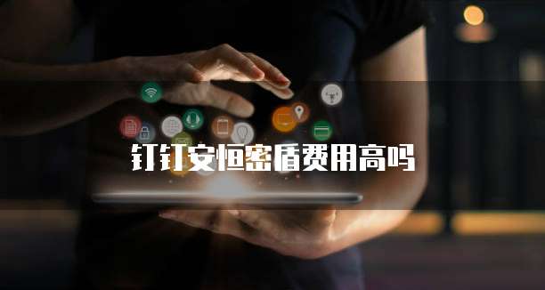 钉钉安恒密盾费用高吗
