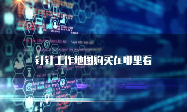 钉钉工作地图购买在哪里看