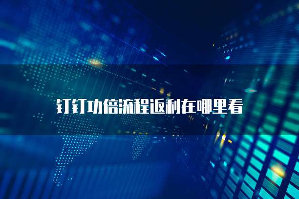 钉钉功倍流程返利在哪里看
