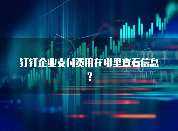 钉钉企业支付费用在哪里查看信息?