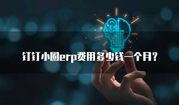 钉钉小圈erp费用多少钱一个月?