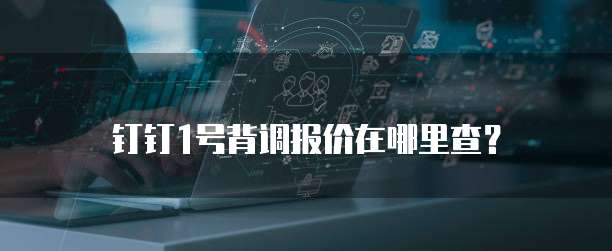 钉钉1号背调报价在哪里查?