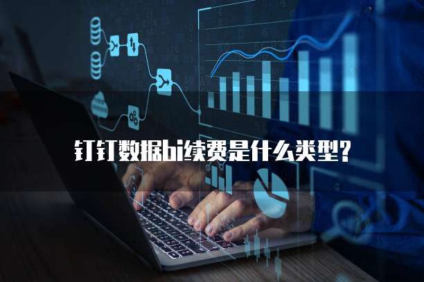 钉钉数据bi续费是什么类型?