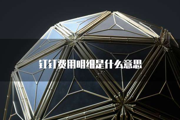 钉钉费用明细是什么意思