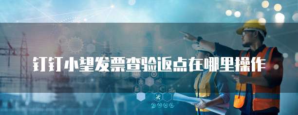 钉钉小望发票查验返点在哪里操作