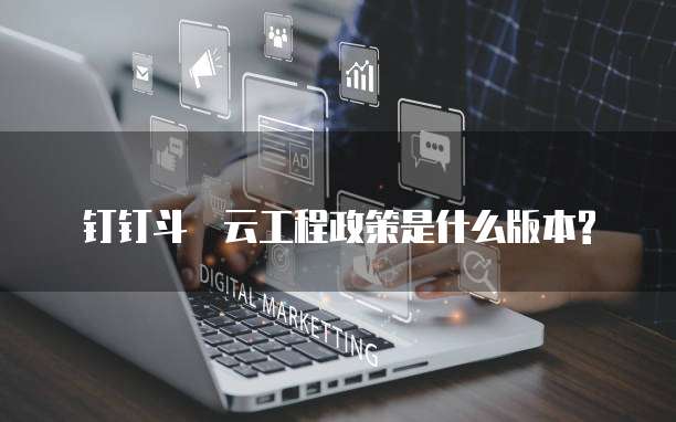  钉钉斗栃云工程政策是什么版本?