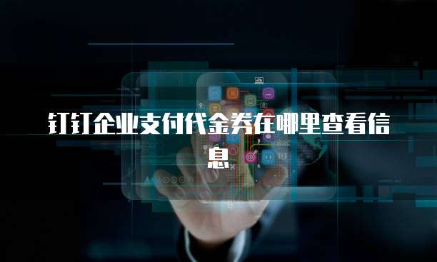 钉钉企业支付代金券在哪里查看信息