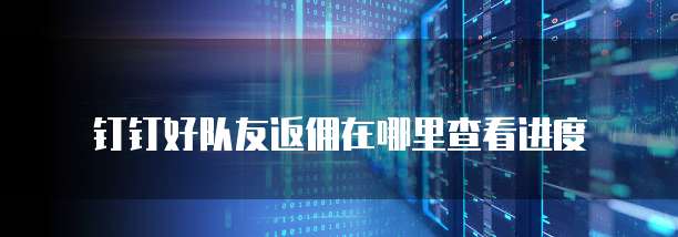 钉钉好队友返佣在哪里查看进度