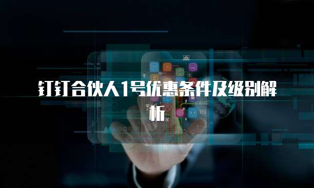 钉钉合伙人1号优惠条件及级别解析