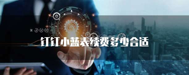 钉钉小蓝表续费多少合适