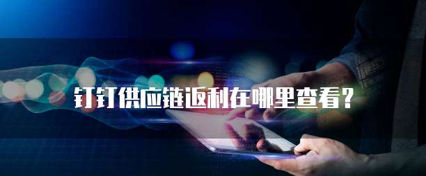 钉钉供应链返利在哪里查看?