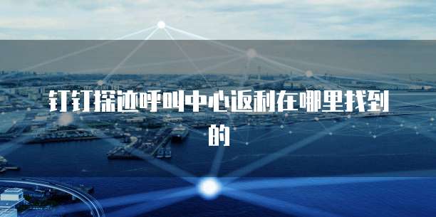 钉钉探迹呼叫中心返利在哪里找到的