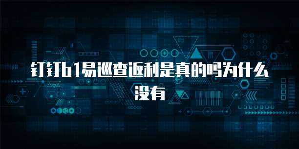钉钉b1易巡查返利是真的吗为什么没有