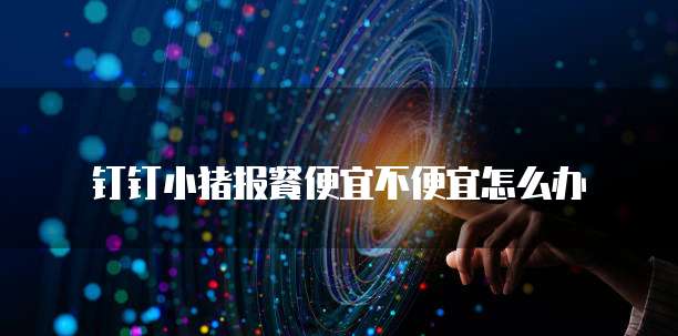 钉钉小猪报餐便宜不便宜怎么办
