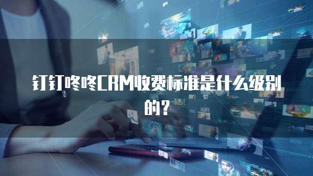 钉钉咚咚CRM收费标准是什么级别的?