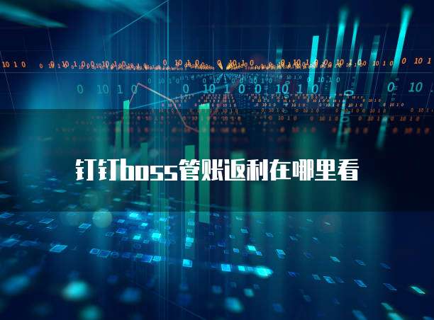 钉钉boss管账返利在哪里看
