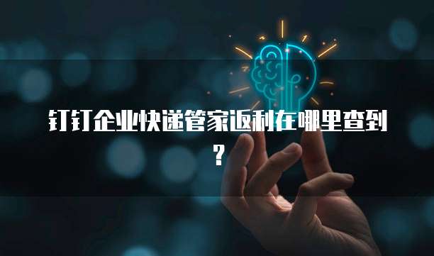 钉钉企业快递管家返利在哪里查到?