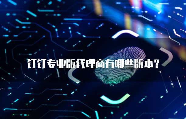 钉钉专业版代理商有哪些版本？