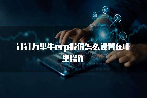 钉钉万里牛erp报价怎么设置在哪里操作