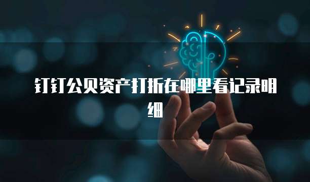 钉钉公贝资产打折在哪里看记录明细
