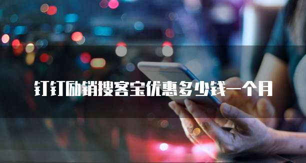 钉钉励销搜客宝优惠多少钱一个月