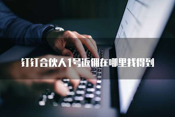 钉钉合伙人1号返佣在哪里找得到