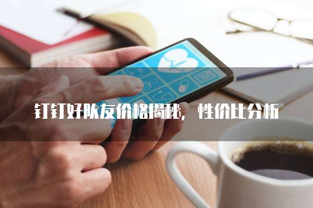 钉钉好队友价格揭秘,性价比分析