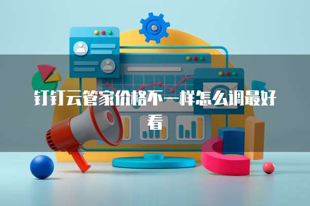 钉钉云管家价格不一样怎么调最好看