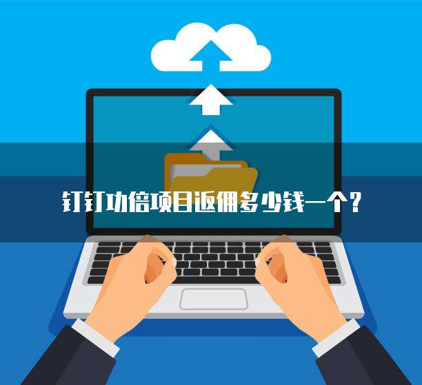 钉钉功倍项目返佣多少钱一个?