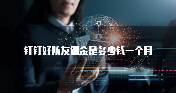 钉钉好队友佣金是多少钱一个月