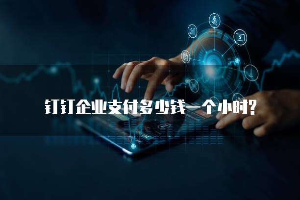 钉钉企业支付多少钱一个小时?