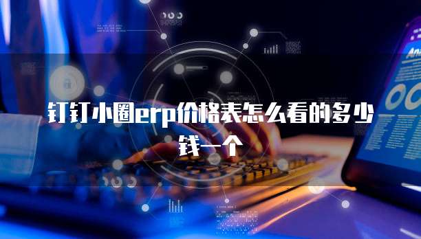 钉钉小圈erp价格表怎么看的多少钱一个