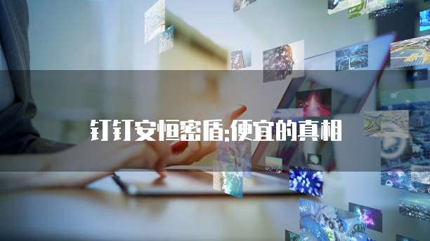 钉钉安恒密盾:便宜的真相
