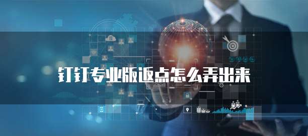 钉钉专业版返点怎么弄出来