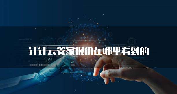 钉钉云管家报价在哪里看到的