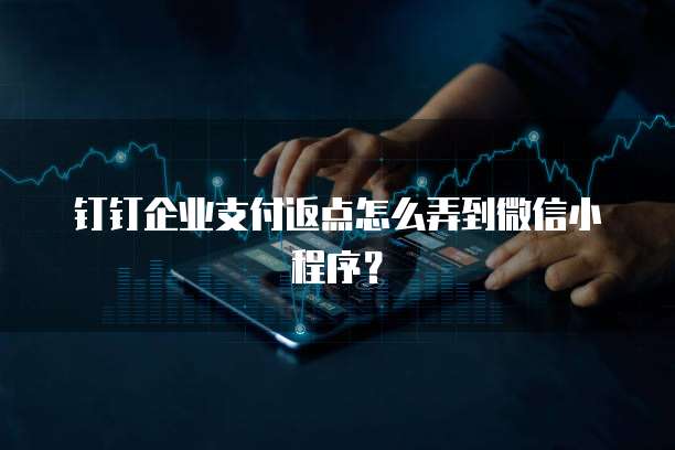 钉钉企业支付返点怎么弄到微信小程序？